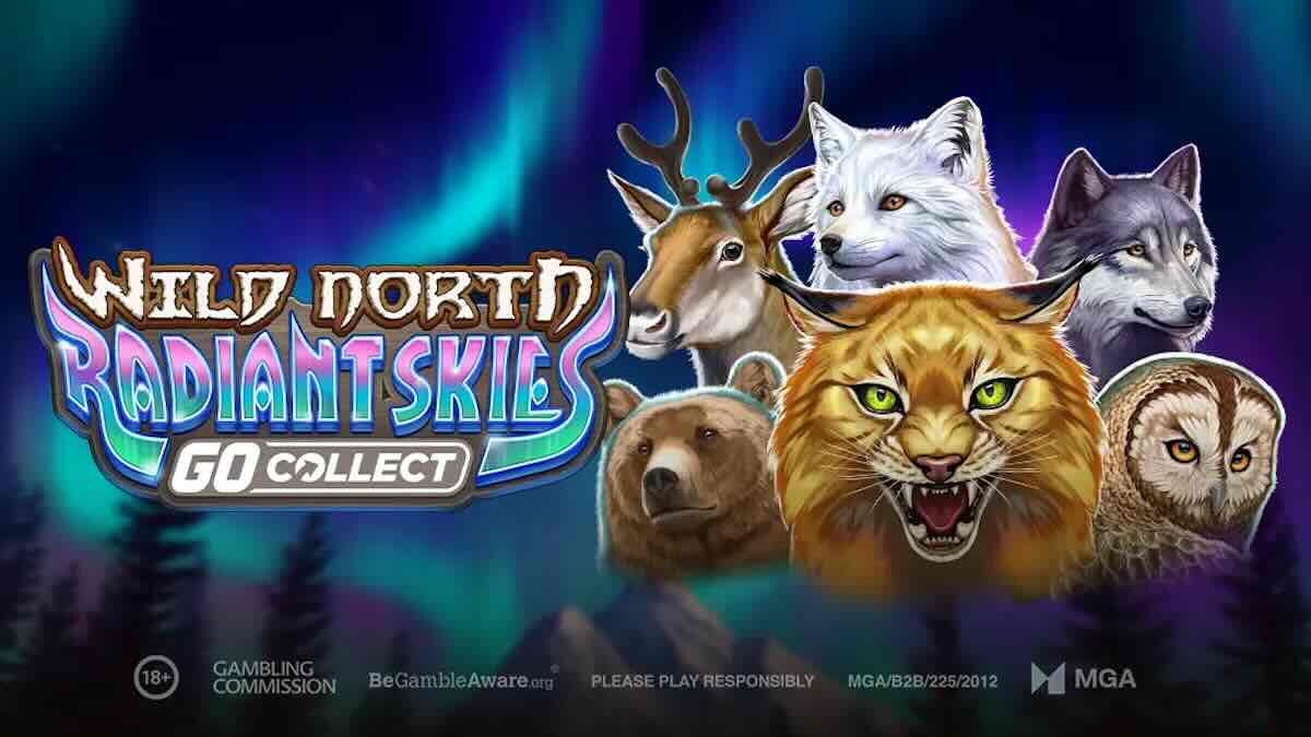 Wild North Radiant Skies GO Collect
